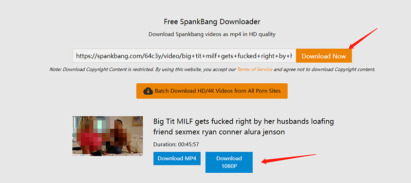 Spankbang Downloader