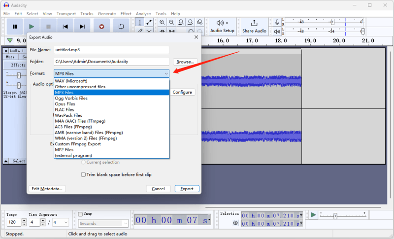 Audacity Setting