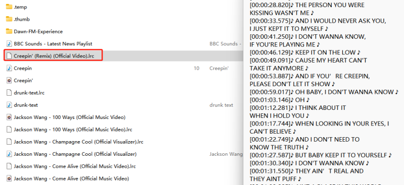 Download Spotify with Lyrics