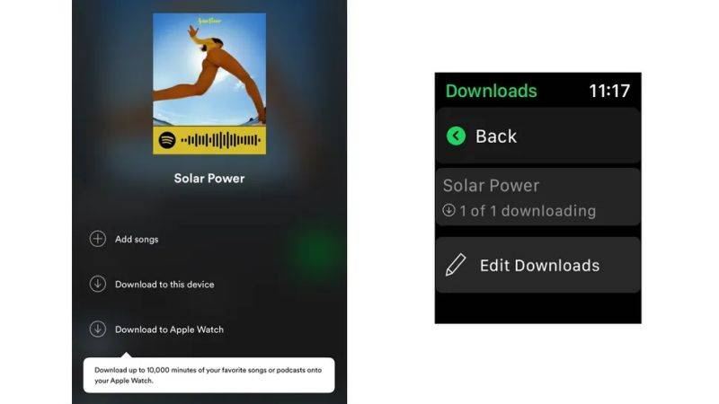 Download Spotify Music to Apple Watch