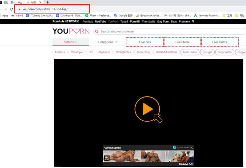 Youpron Download - 2 Working Methods to Download YouPorn Video for Free