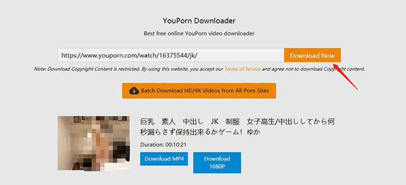 Youpron Download - 2 Working Methods to Download YouPorn Video for Free
