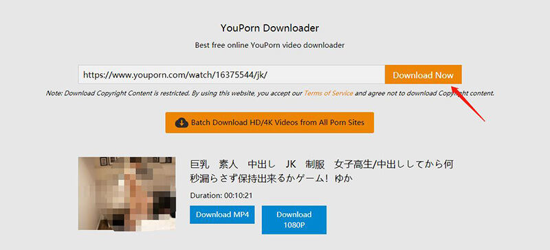 2 Working Methods to Download YouPorn Video for Free