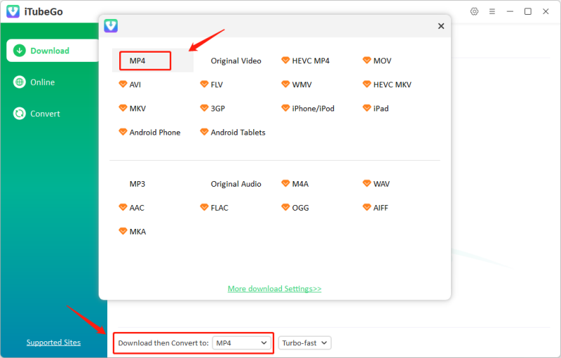 Set iTubeGo Output Format