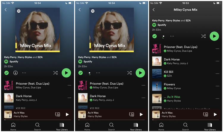 Download Spotify Song with Premium