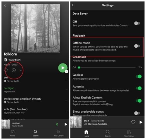 How to Listen to Spotify Offline without Premium