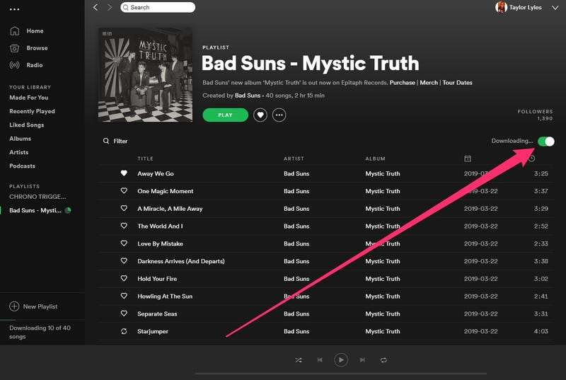 how to listen to spotify offline without premium