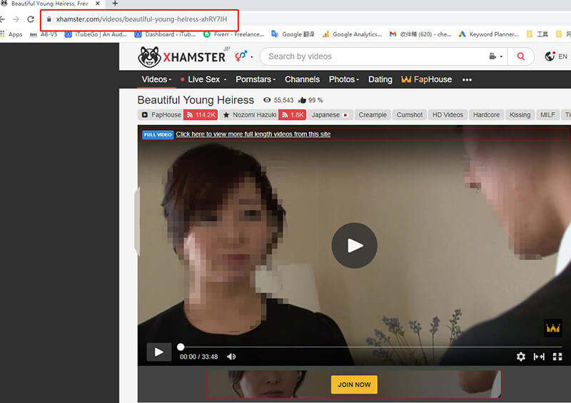 online downloader for xhamster