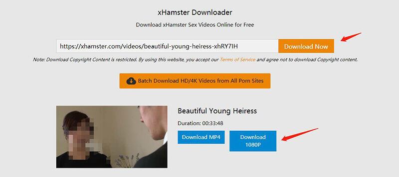 online xhamster video downloader